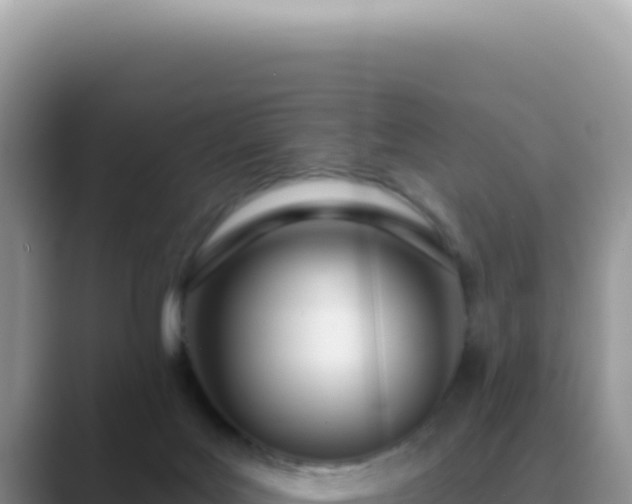 X0000089860027200707051141