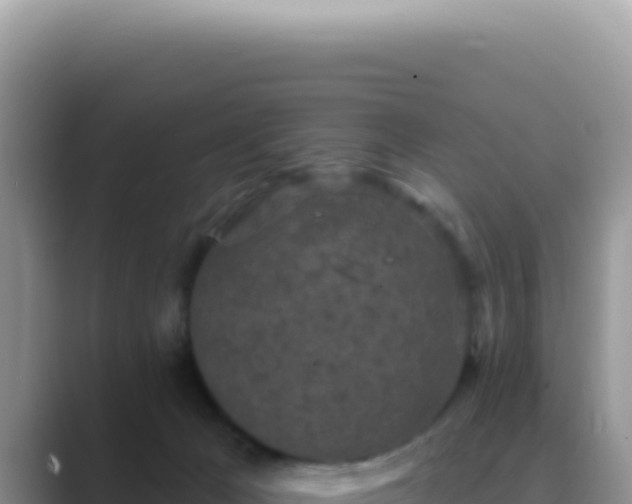 X0000089860029200707051141