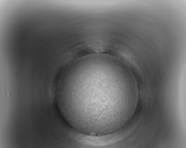 X0000089860030200707051141