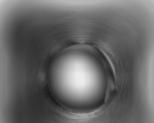 X0000089860031200707051141