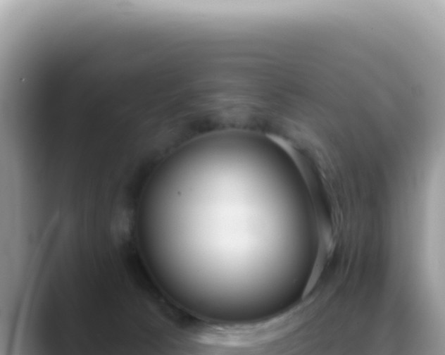 X0000089860033200707051141