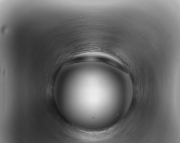 X0000089860035200707051141