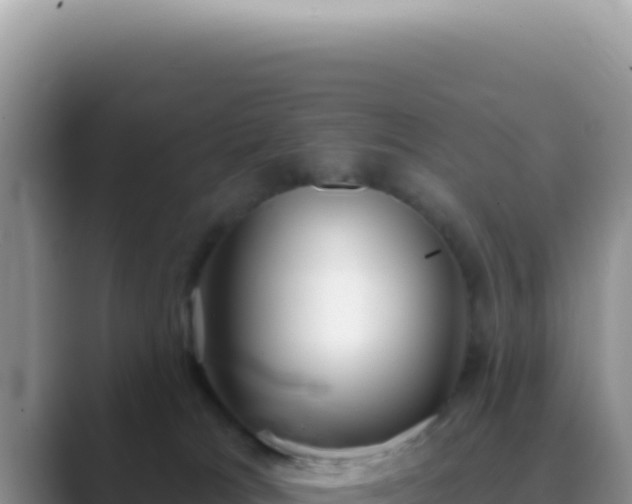 X0000089860037200707051141