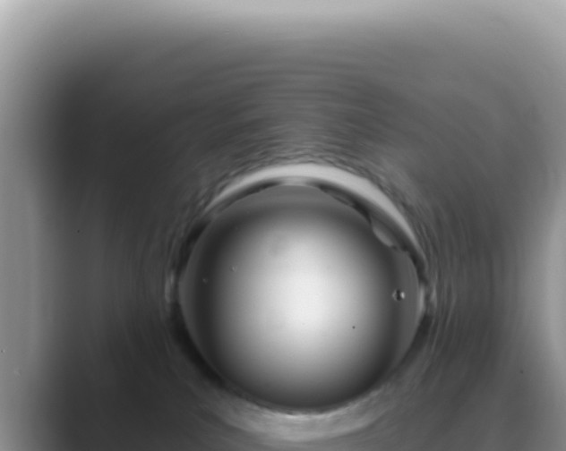 X0000089860039200707051141