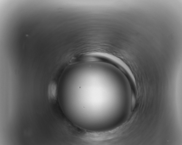 X0000089860041200707051141