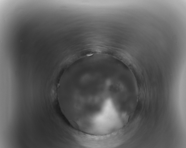 X0000089860043200707051141