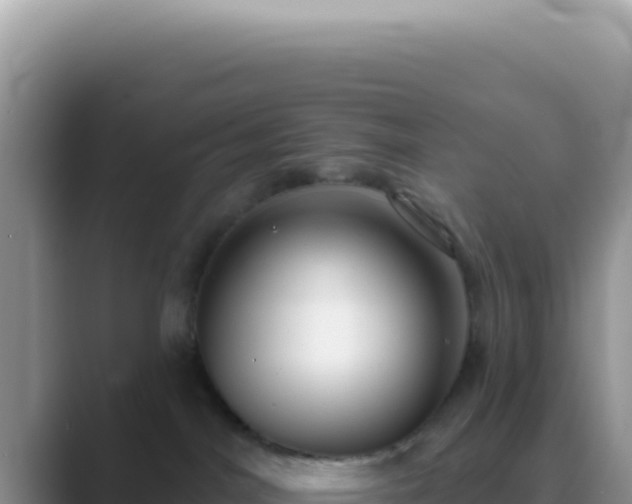 X0000089860044200707051141