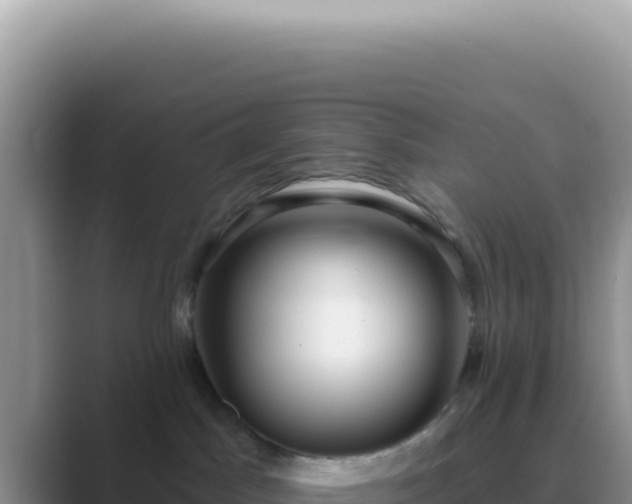 X0000089860045200707051141