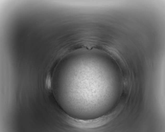 X0000089860046200707051141