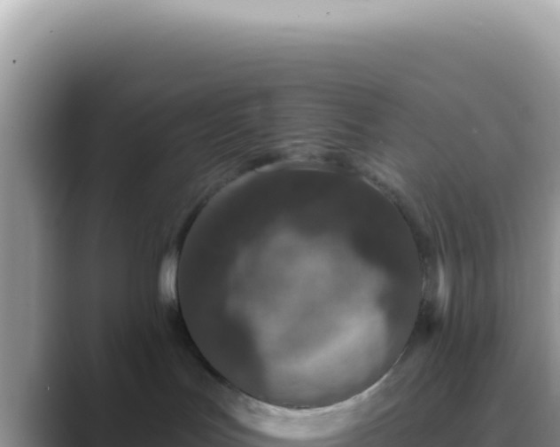 X0000089860047200707051141