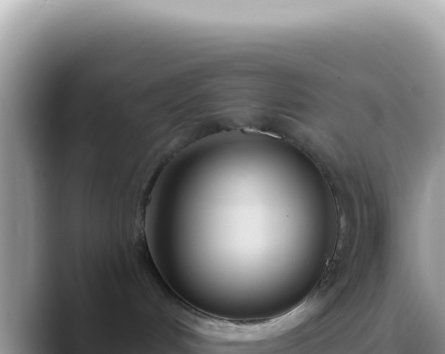 X0000089860048200707051141