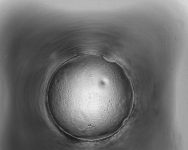 X0000089860049200707051140