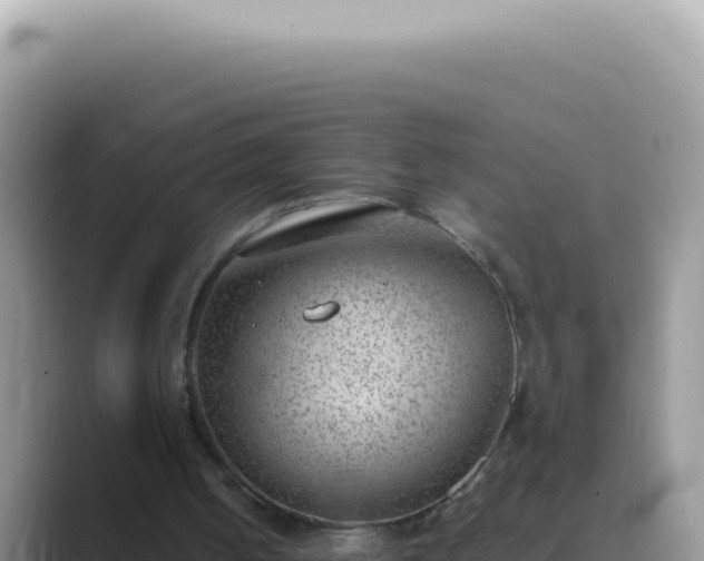 X0000089860050200707051140