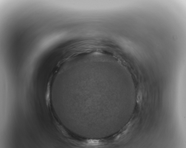 X0000089860052200707051140