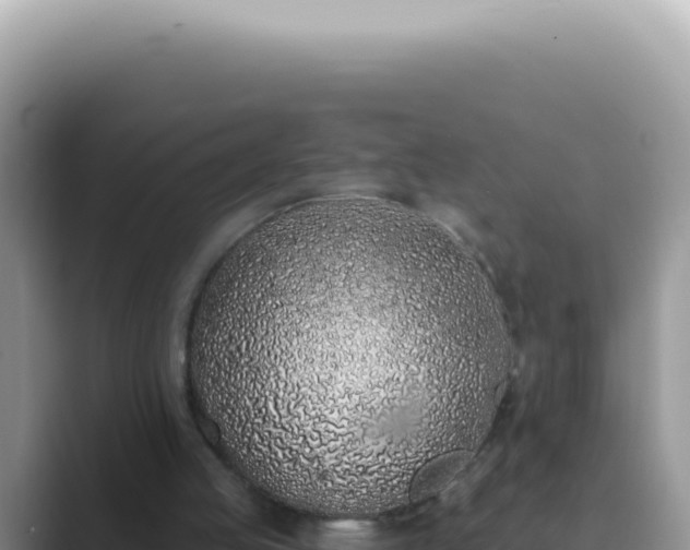 X0000089860053200707051140