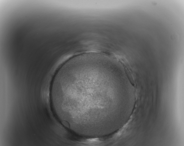X0000089860054200707051141