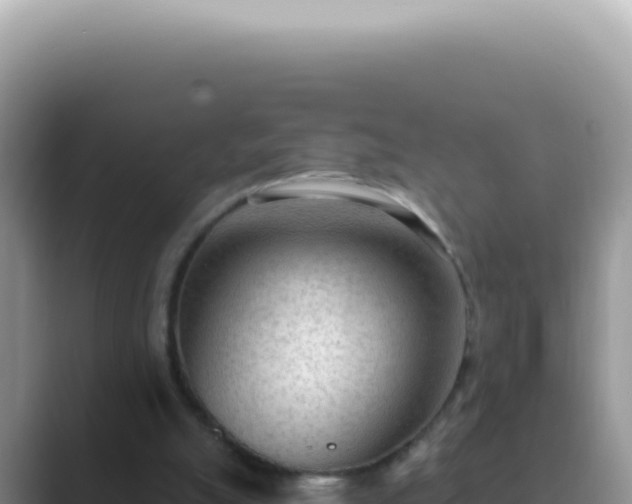 X0000089860055200707051141