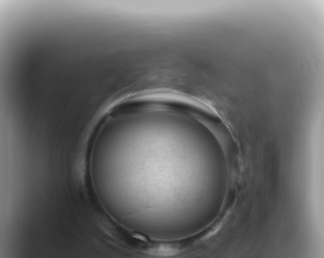 X0000089860056200707051141