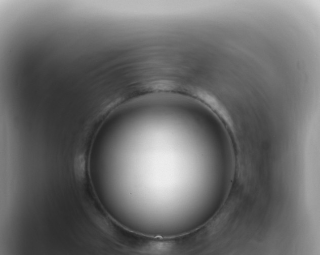 X0000089860057200707051141