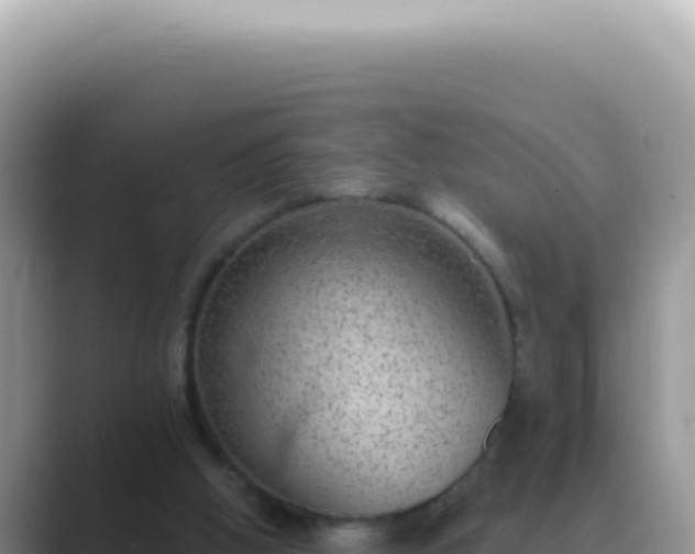X0000089860058200707051141