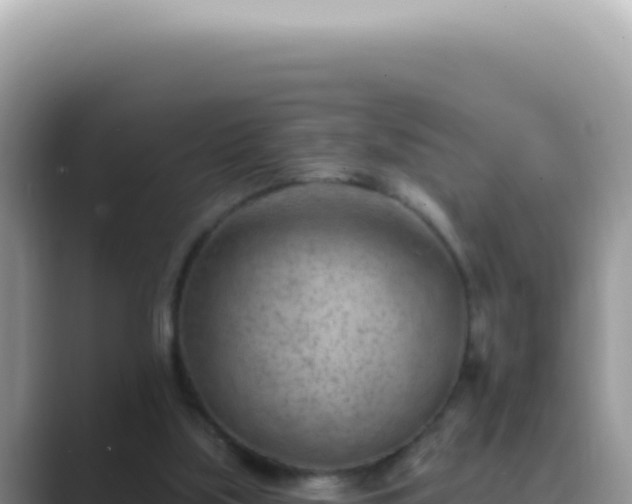 X0000089860059200707051141