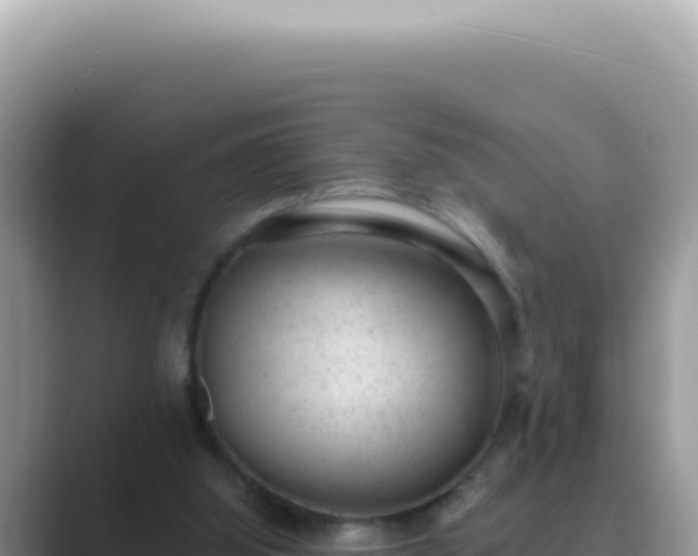 X0000089860060200707051141