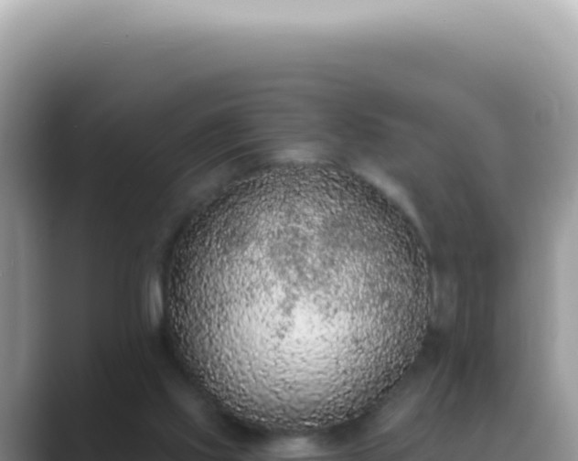 X0000089860061200707051141