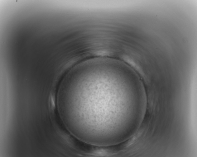X0000089860062200707051141