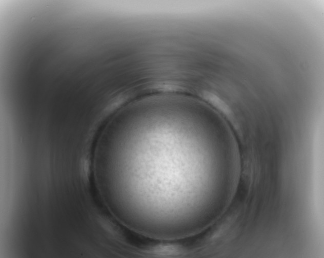 X0000089860063200707051141