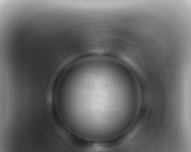 X0000089860064200707051141