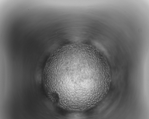 X0000089860065200707051141