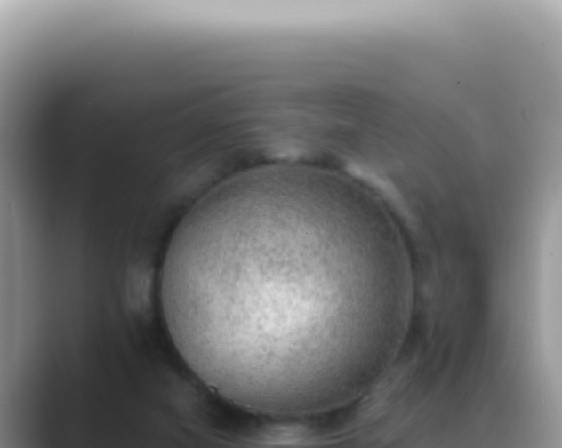 X0000089860066200707051141