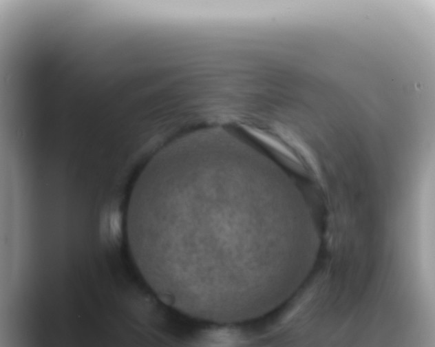 X0000089860067200707051141
