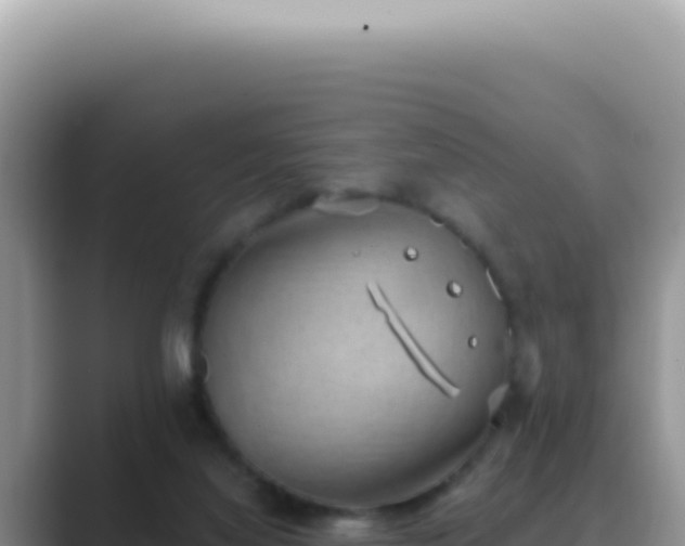 X0000089860068200707051141