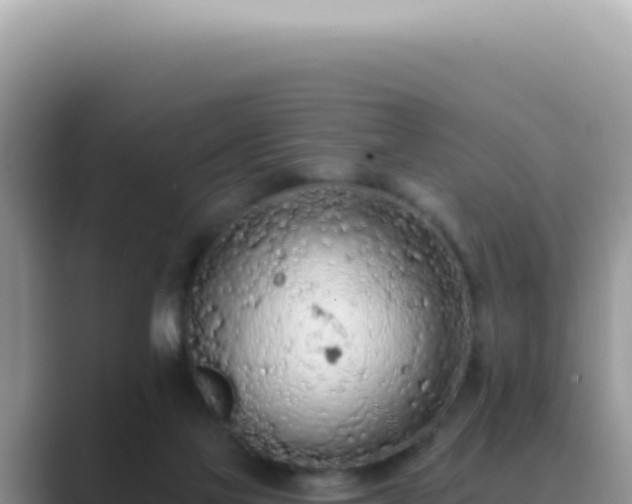 X0000089860069200707051141