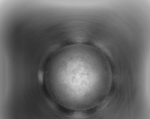 X0000089860070200707051141