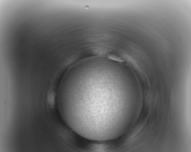 X0000089860071200707051141