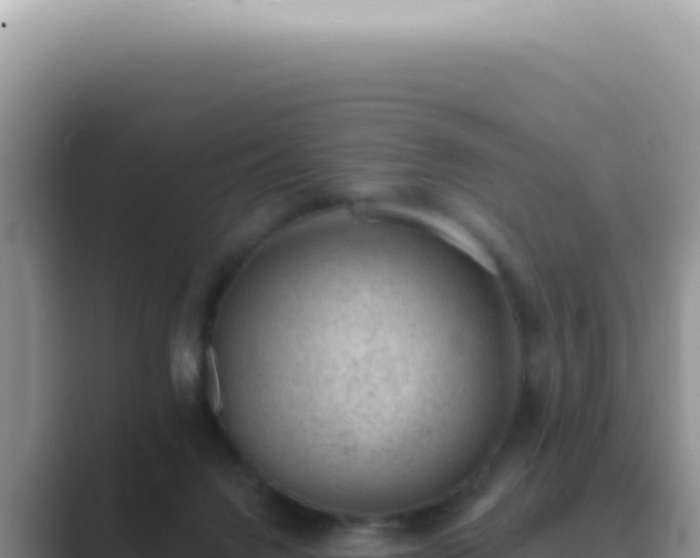 X0000089860072200707051141