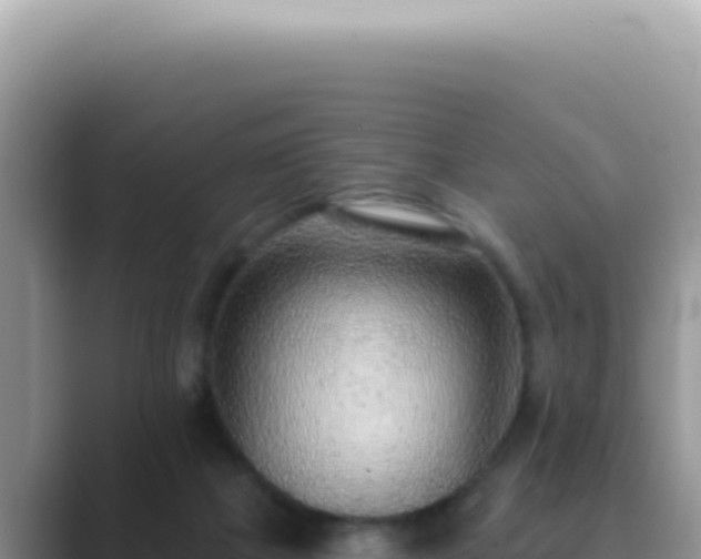 X0000089860073200707051141