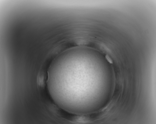 X0000089860074200707051141