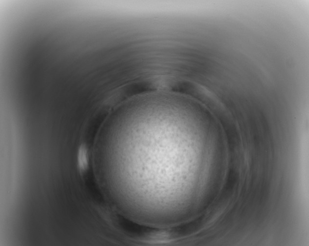 X0000089860075200707051141