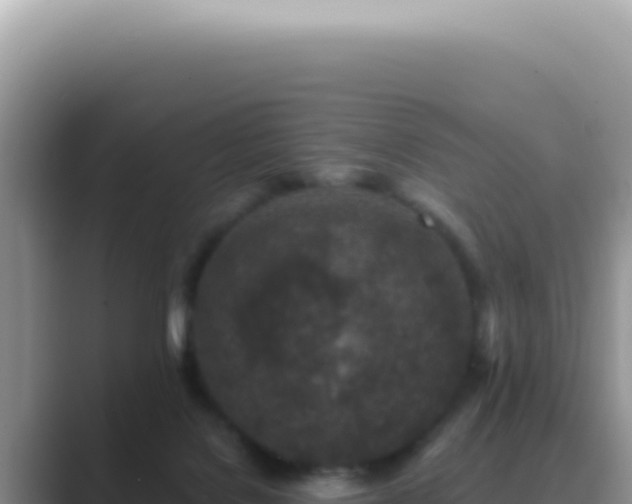 X0000089860076200707051141