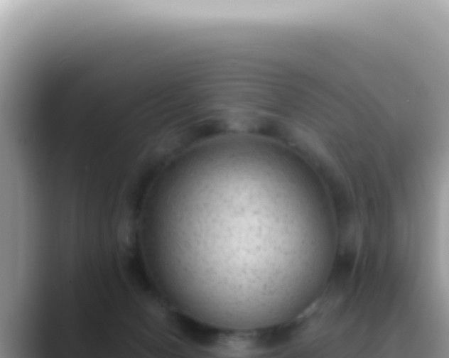 X0000089860078200707051141