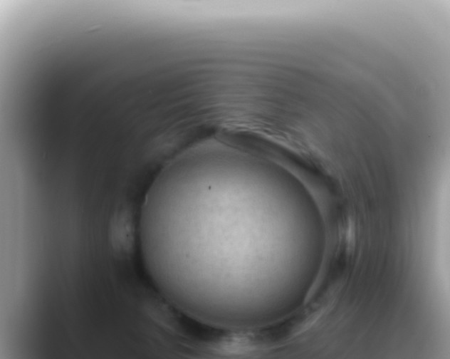 X0000089860080200707051141