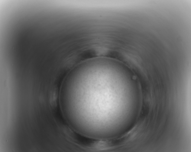 X0000089860082200707051141