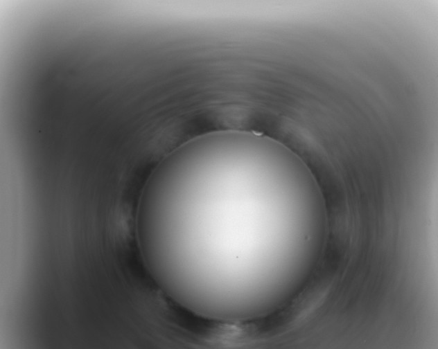 X0000089860083200707051141