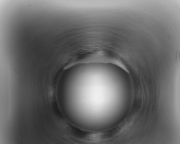 X0000089860084200707051141