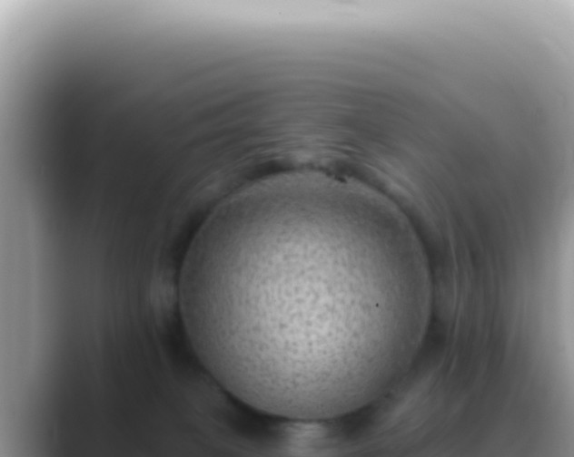 X0000089860085200707051141