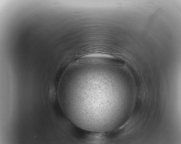 X0000089860086200707051141