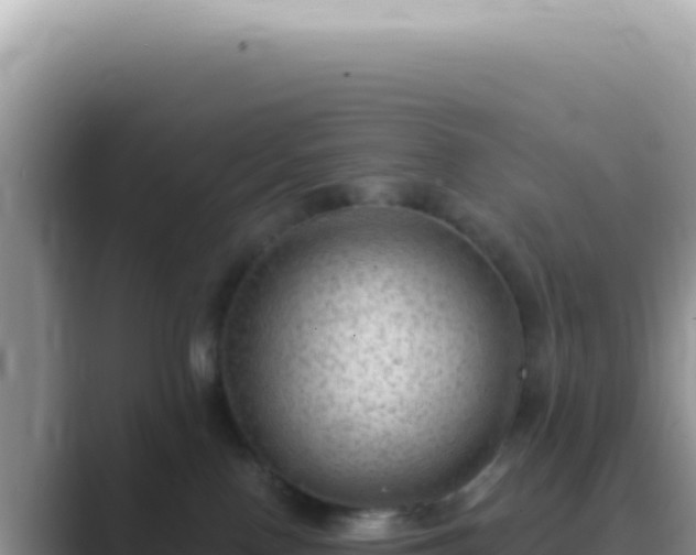 X0000089860090200707051141